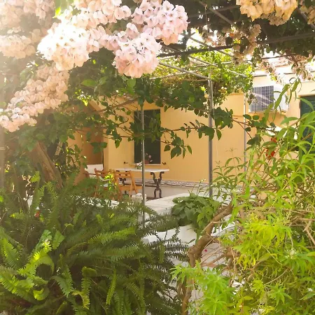 公寓 House With Garden Near The Sea Agia Efimia