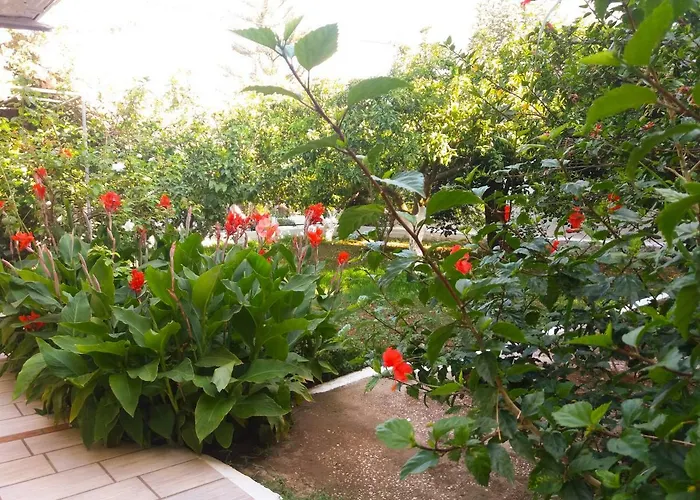 House With Garden Near The Sea 公寓 Agia Efimia