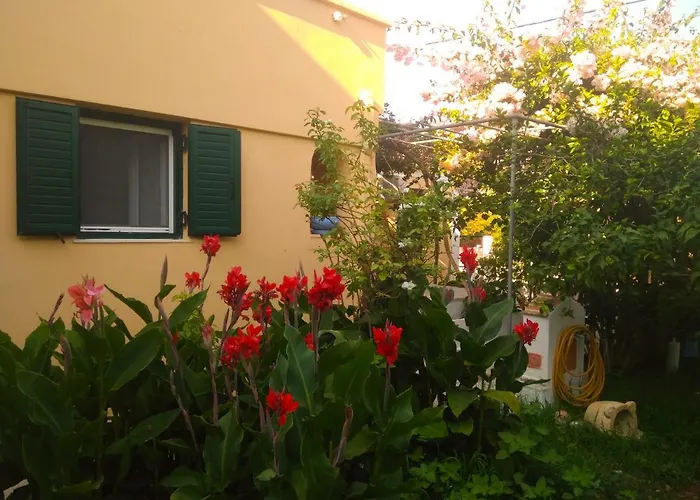 House With Garden Near The Sea 公寓 Agia Efimia