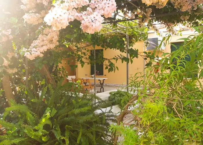 公寓 House With Garden Near The Sea Agia Efimia