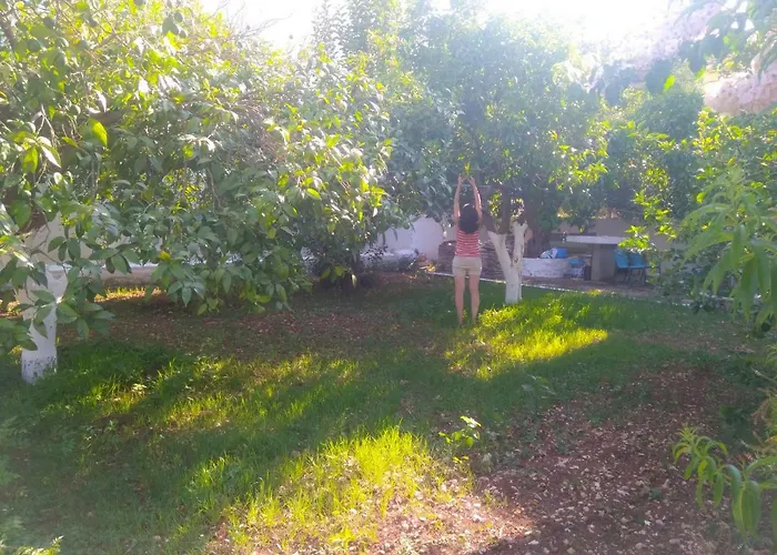 公寓 House With Garden Near The Sea Agia Efimia