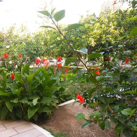 House With Garden Near The Sea Appartement Agia Efimia
