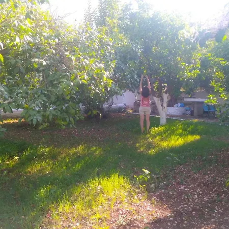 Appartement House With Garden Near The Sea Agia Efimia