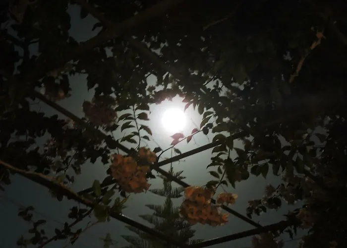 House With Garden Near The Sea Agia Efimia